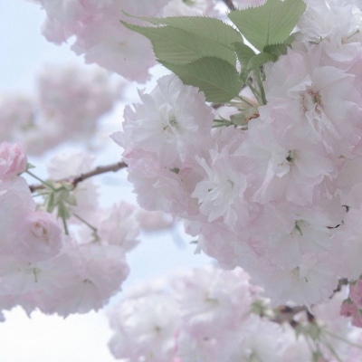 Furry兽设设计干货福瑞群